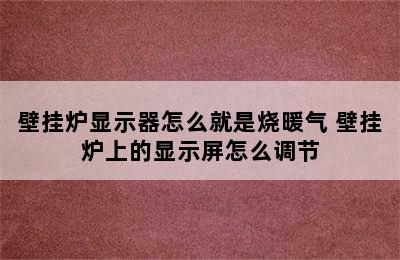 壁挂炉显示器怎么就是烧暖气 壁挂炉上的显示屏怎么调节